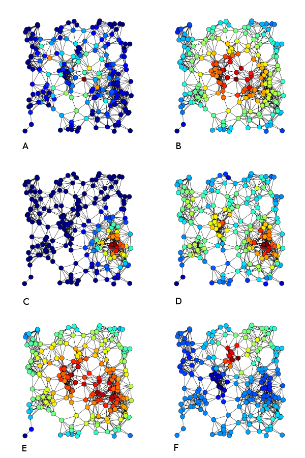 不同中心性可视化 By Tapiocozzo, CC BY-SA 4.0